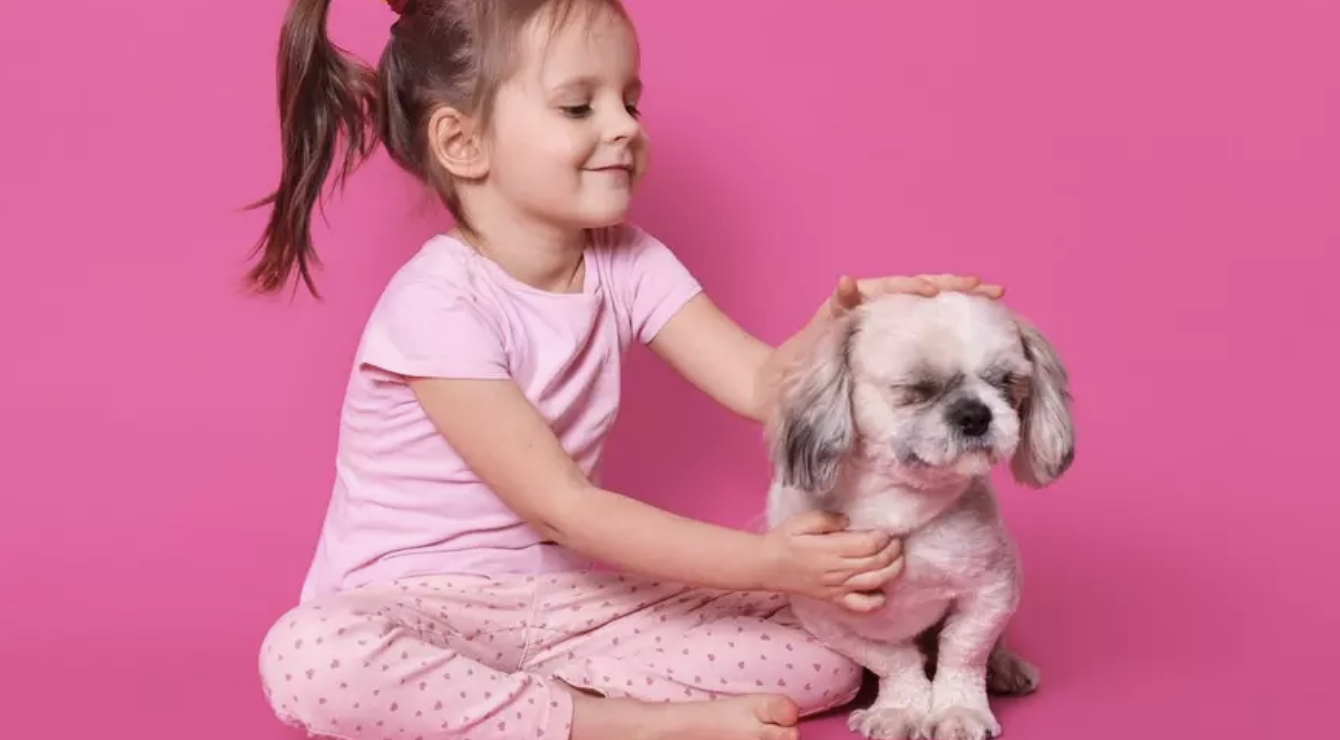 Ya no podrán negarte un departamento por tener hijos o mascotas en CDMX